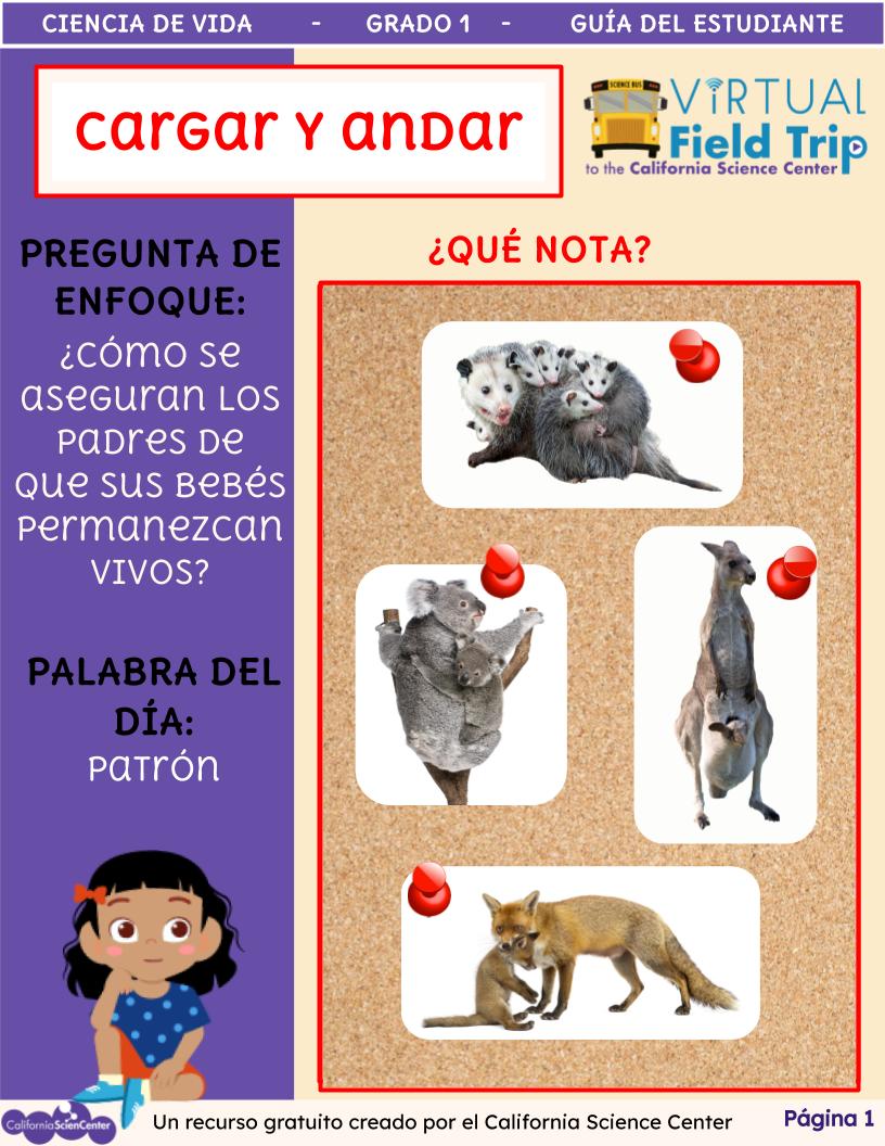 Preview image of Spanish Student Activity Guide