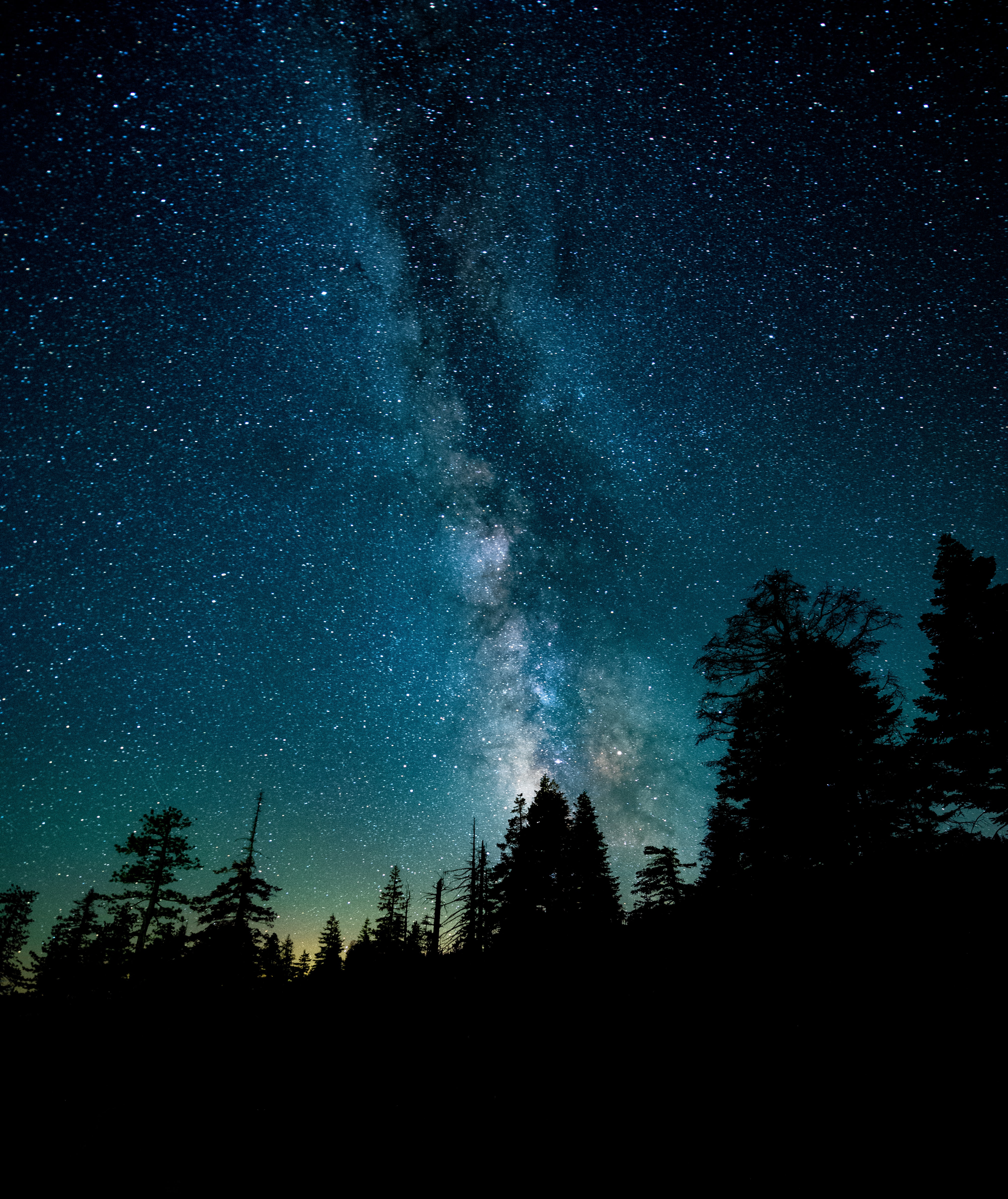 The Milky Way stands out clearly in the night sky over a forest.
