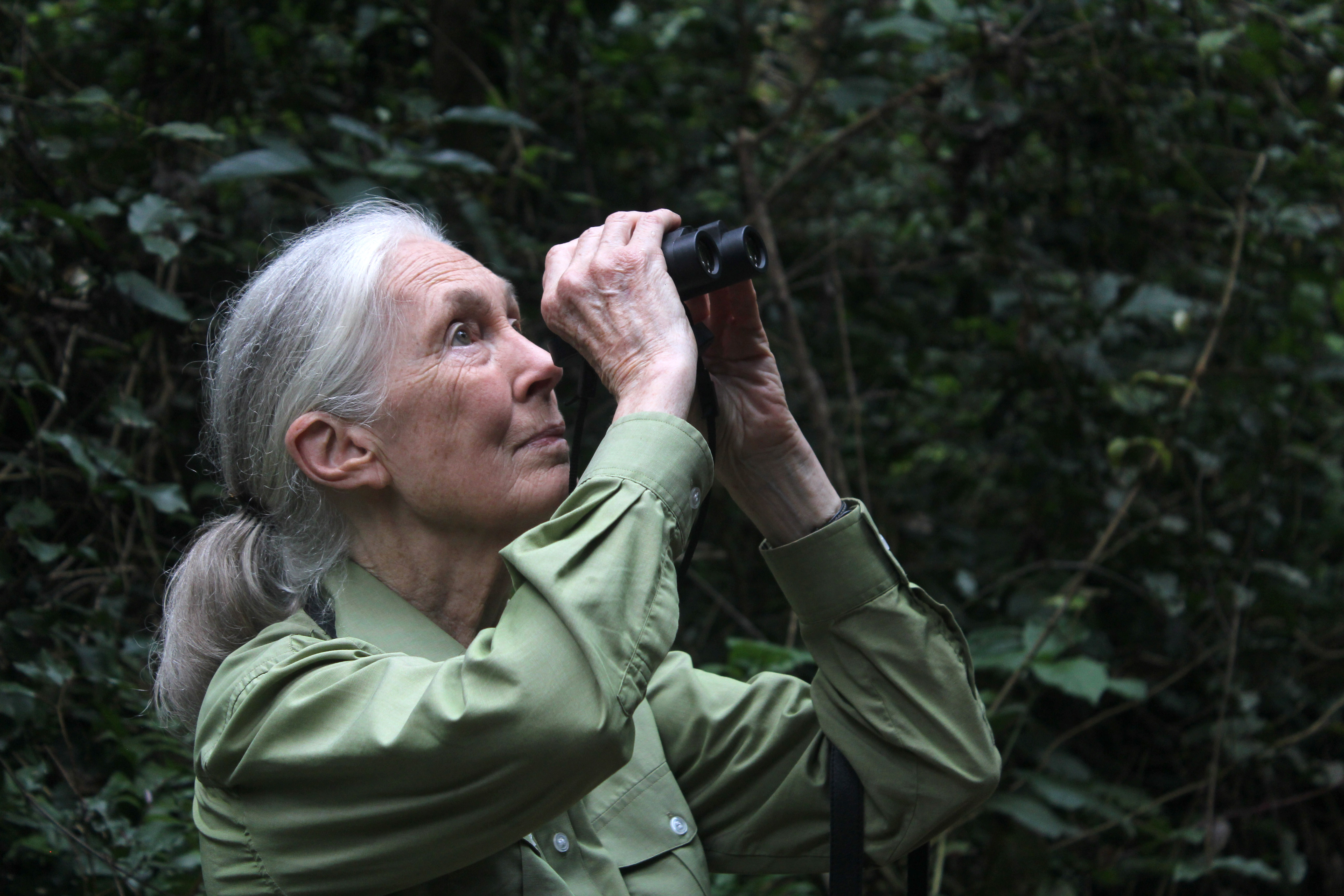 Dr. Jane Goodall looks through a pair of binoculars while in the forest.
