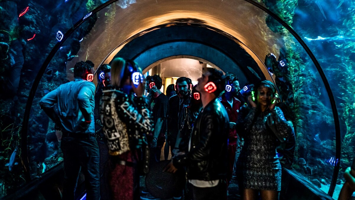Event guests wearing neon lit headphones and dancing to silent disco in Ecosystems Kelp Tank tunnel