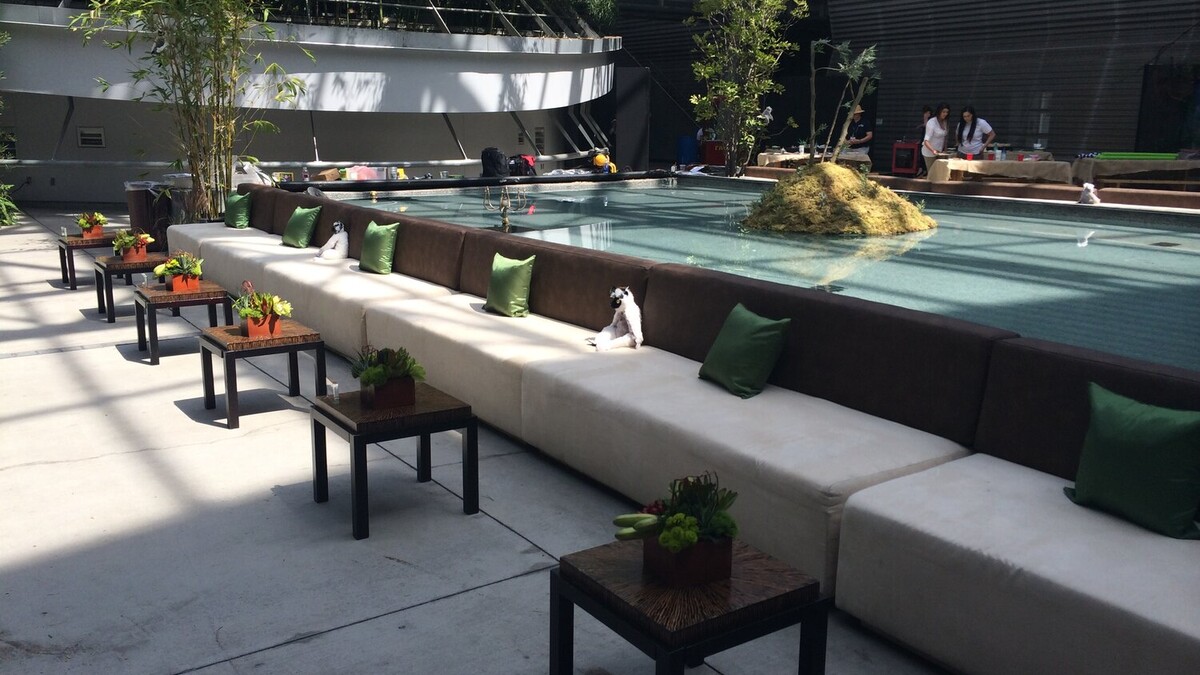 Lounge bench alongside the Wallis Annenberg Building fountain for the Island of Lemurs: Madagascar IMAX premiere