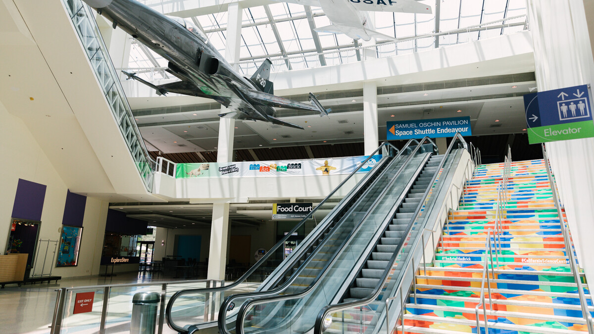 Escalators and stairs leading from Edgerton Court to Disney Science Court. Stairs feature LEGO brick art print on side panels and aircraft are seen displayed overhead