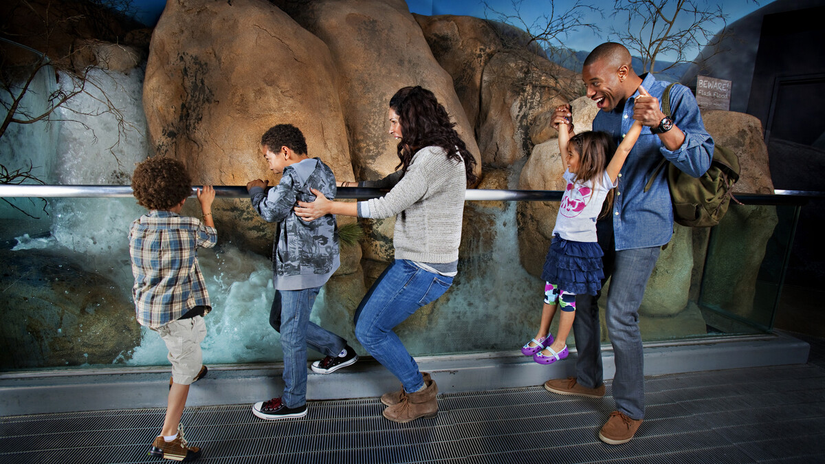 Family observing flash flood inside Desert Zone