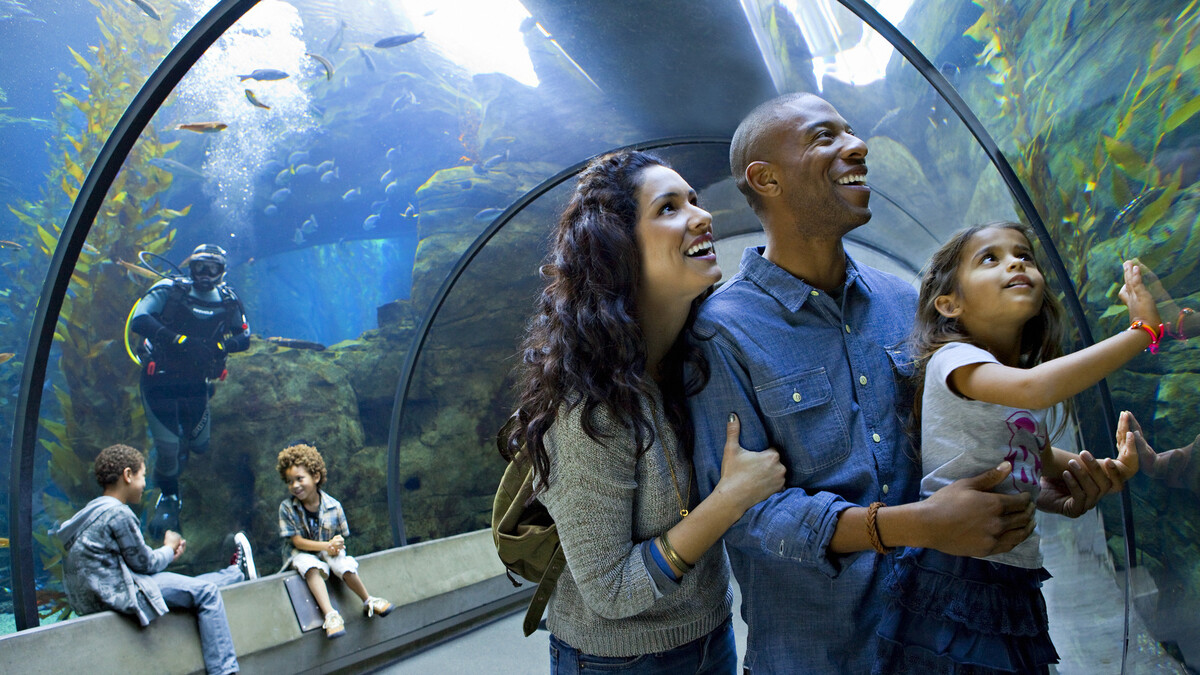 Family admiring fish in the Kelp Tank tunnel