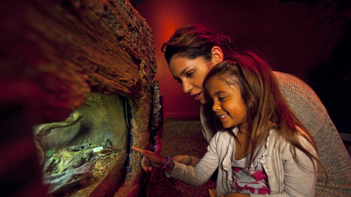 Mother and daughter observing exhibit inside the Rot Room