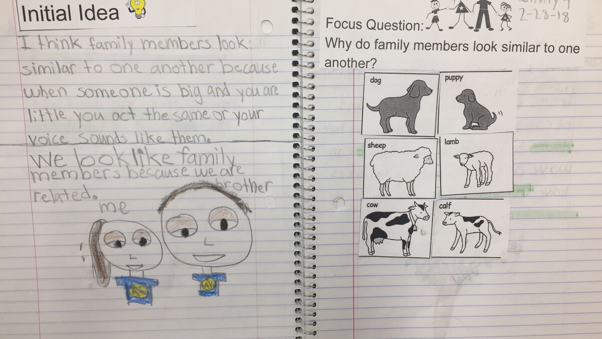 Student notebook featuring first grade life science content