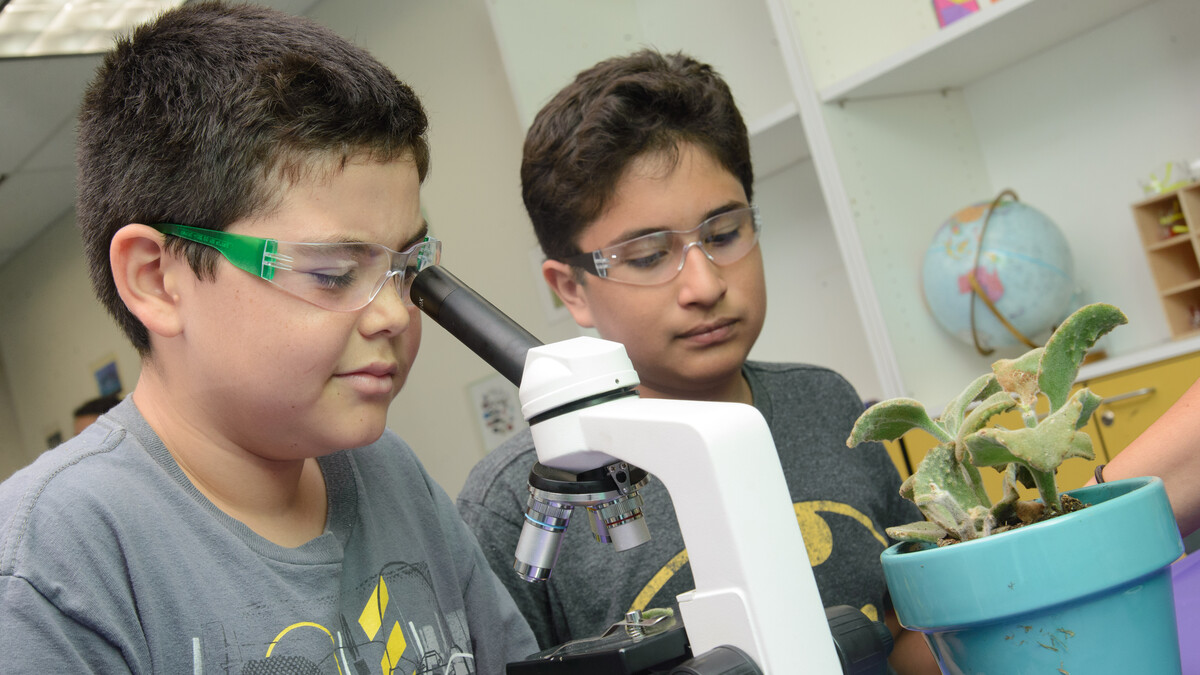 Two youth examine an object through a microscope