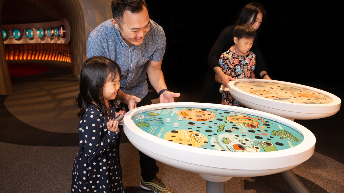 Guests play with a tilt table interactive in the Life! Beginnings exhibition