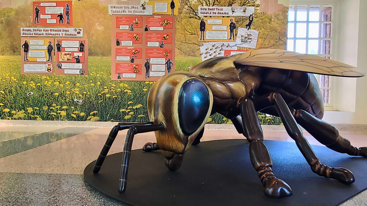 Bee model in Jane's Endangered Animal Experience exhibit. 