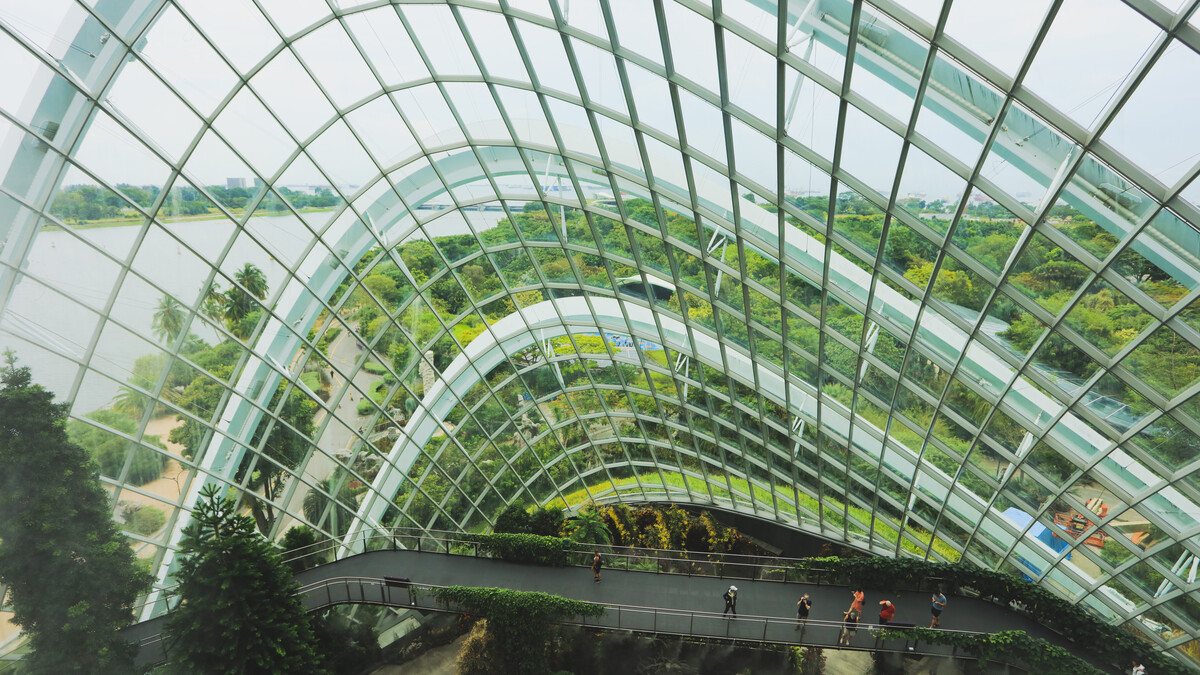 A modern building in Singapore is made more sustainable by mixing in trees into the space.