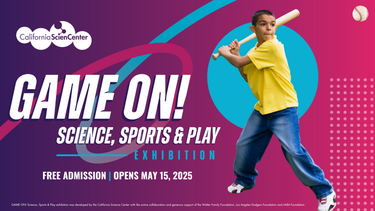 Photo of boy swinging a bat against a pink background with the exhibition logo to the left. Image also says "FREE ADMISSION OPENS MAY 15, 2025"