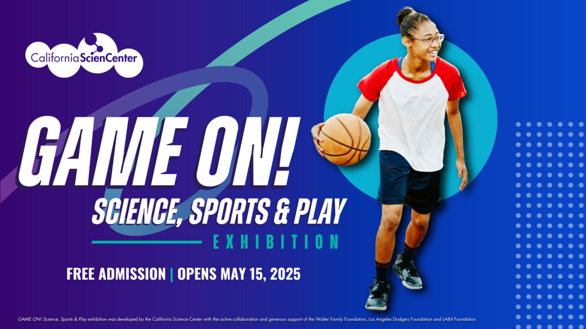 Photo of a girl wearing glasses and holding a basketball against a blue background with the exhibition logo to the left. Image also says "FREE ADMISSION OPENS MAY 15, 2025"