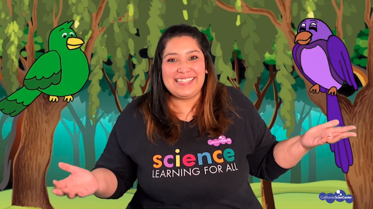 Educator Mariela with illustrated Science Songbirds