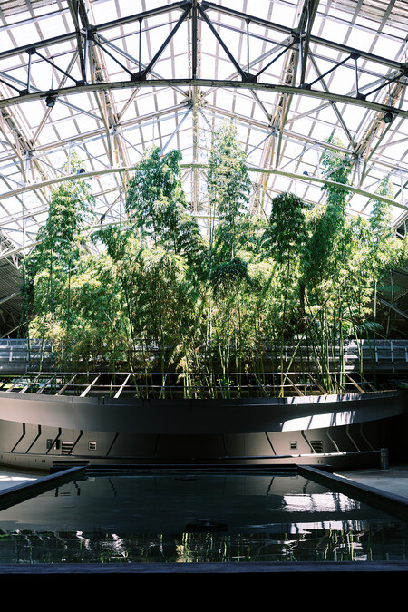 Rectangular fountain, bamboo garden, and roof structure in the Wallis Annenberg Building 
