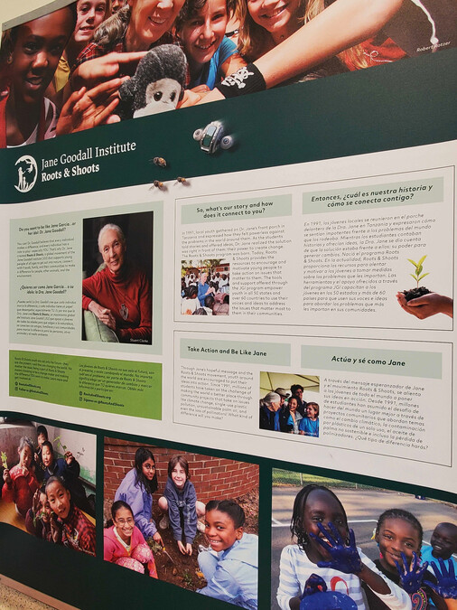 Informational display on the Jane Goodall institute.