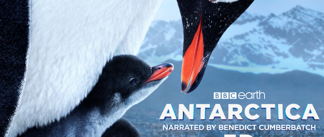 Antarctica 3D key art featuring a parent penguin cuddling two penguin chicks to keep them warm in the frigid Antarctic terrain, visible in the background with a tall snow-covered peak. The Antarctica 3D logo appears in the bottom righthand corner of the image.